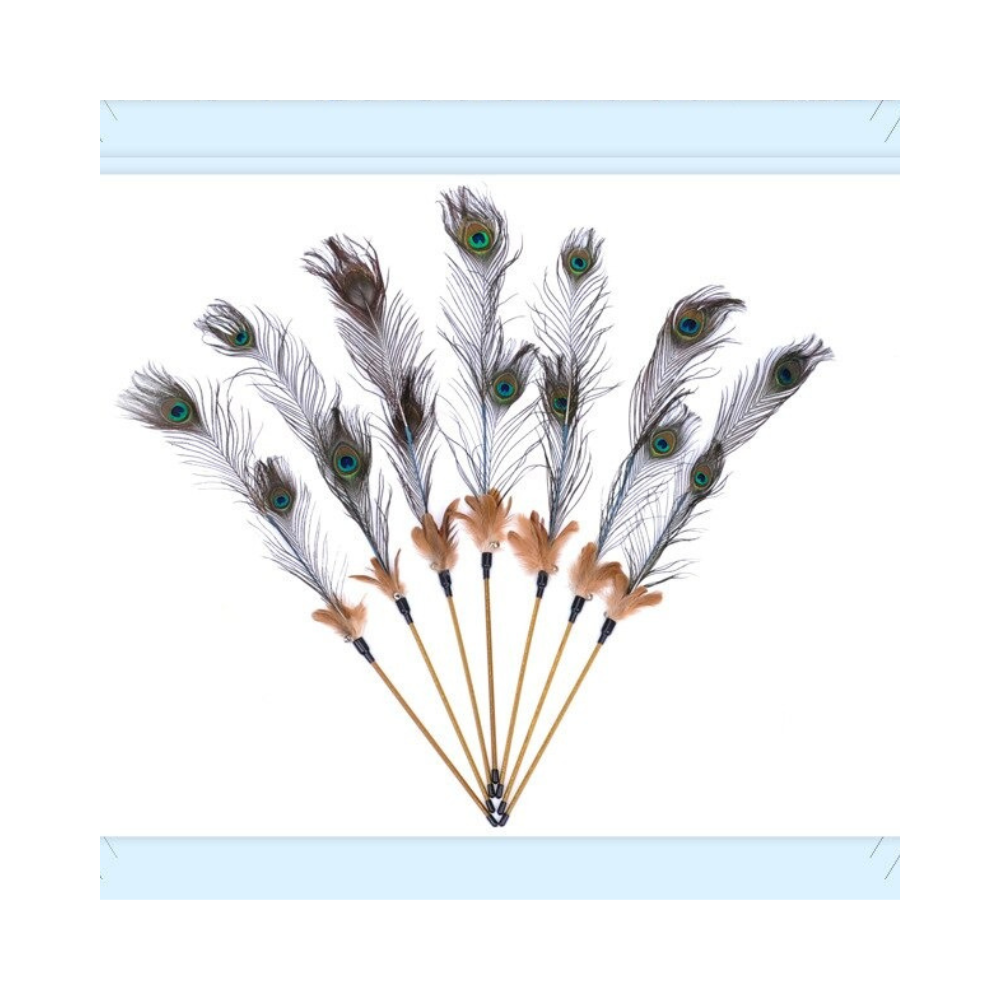 Wire Feather Teaser Wand