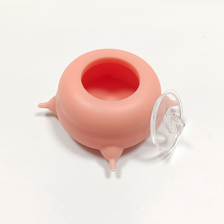 Silicone Breastfeeding Pacifiers & Bionic Drinker