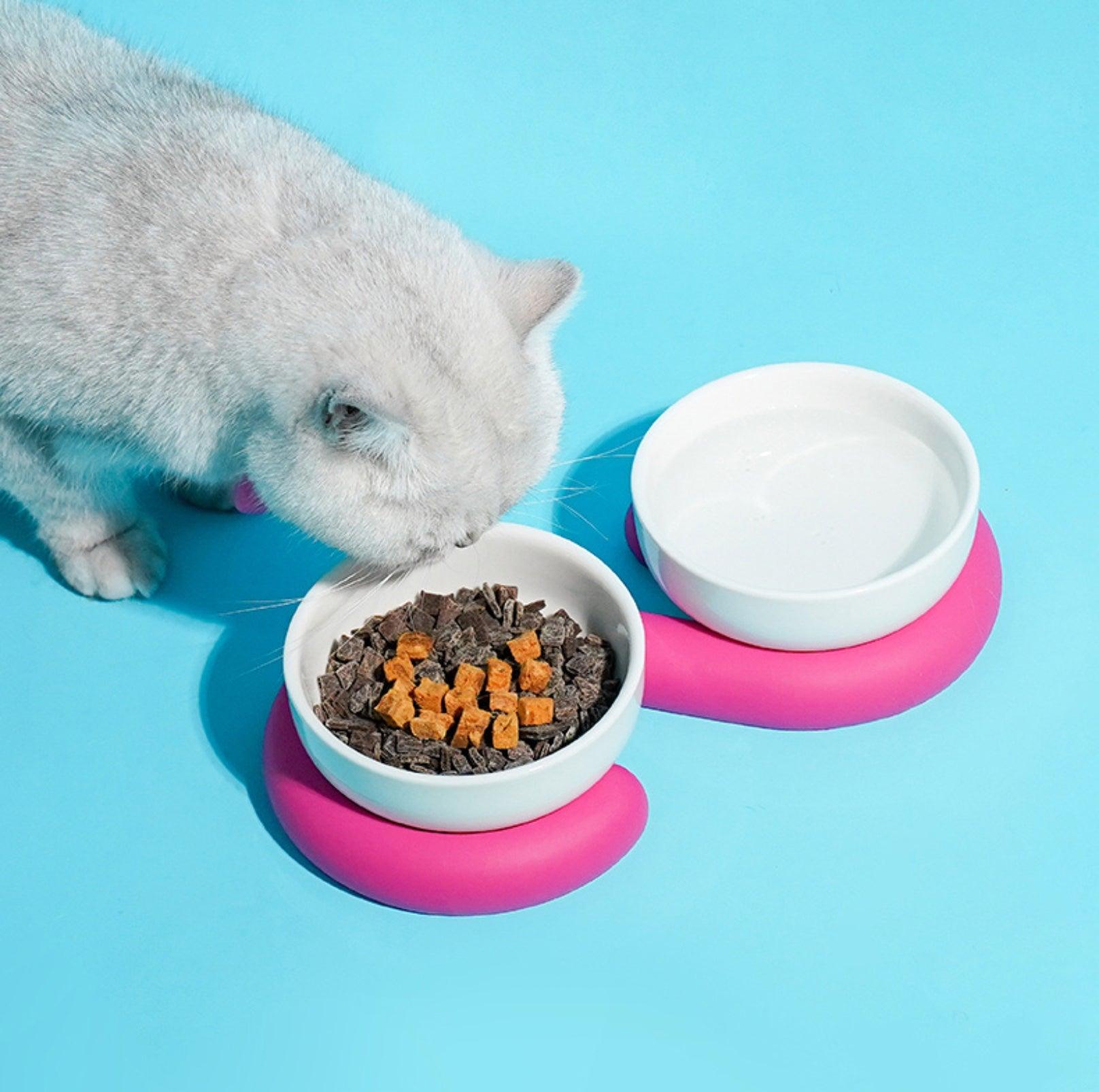 Stylish Ceramic Double Cat Bowls and Dog Bowls With Silicone Base