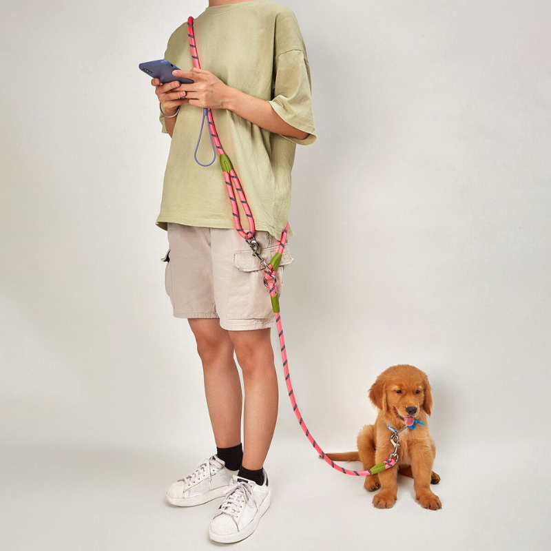 Reflective Multicolor Pet Dog Leash
