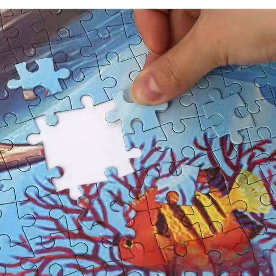 1000 Pieces Puzzles for Adults and Kids (random design)