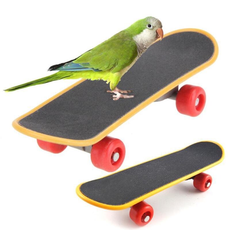 9 Pieces Bird Training Toys Set