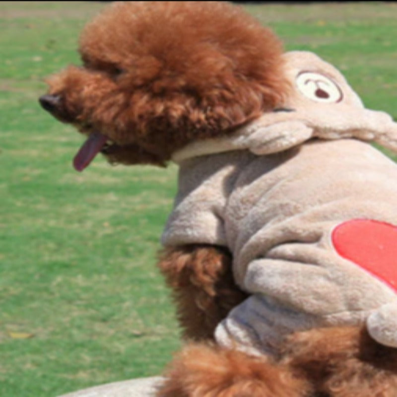 Clothing For Small Dog