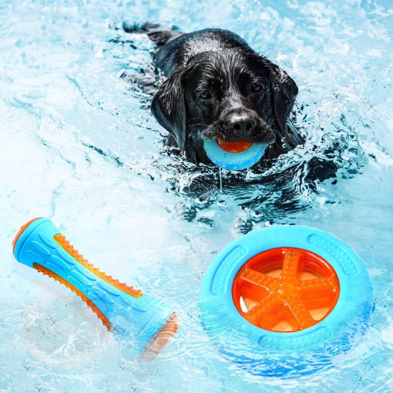 Dog Interactive Chew Toy Outdoor Floating Water Toy