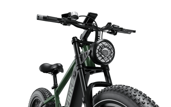 Heybike Brawn Adult Electric Bike, 750W 28MPH 26 Inch, Off-Road Electric Mountain Bike