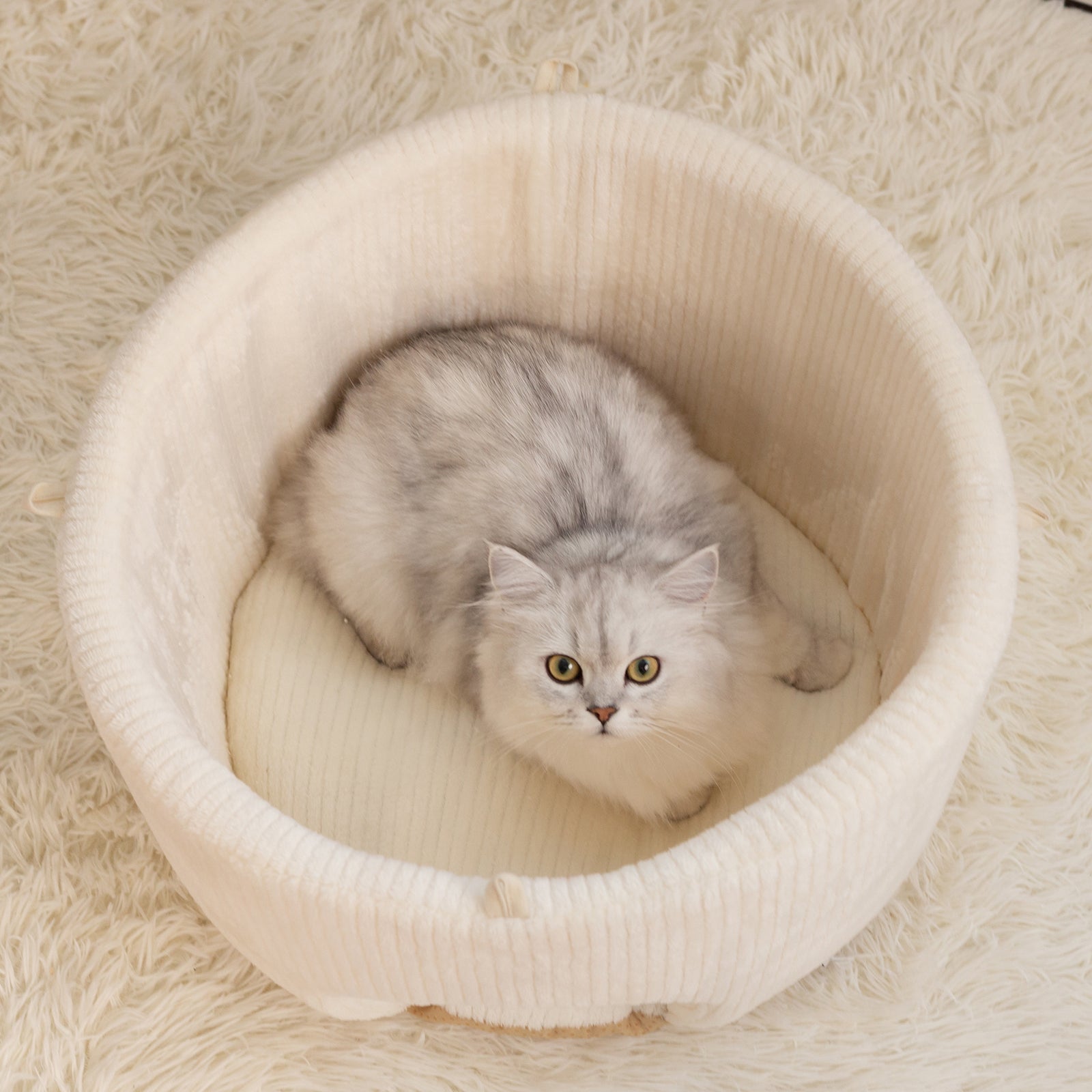 22.8'' Large Mushroom Cat Bed