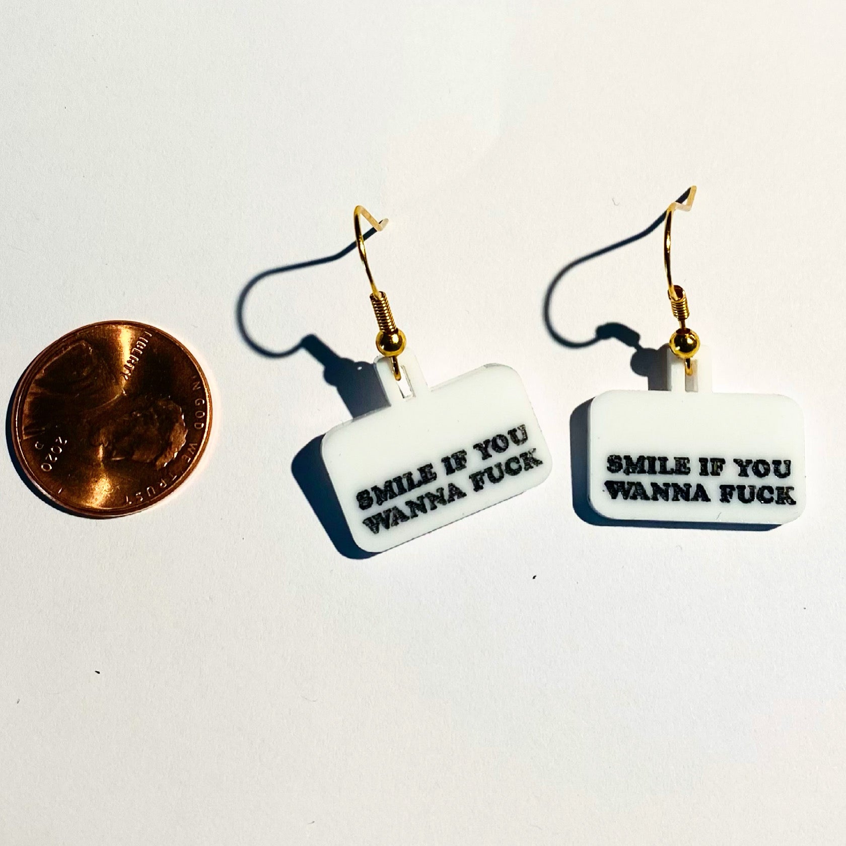 Smile If You Wanna Fuck  Earrings