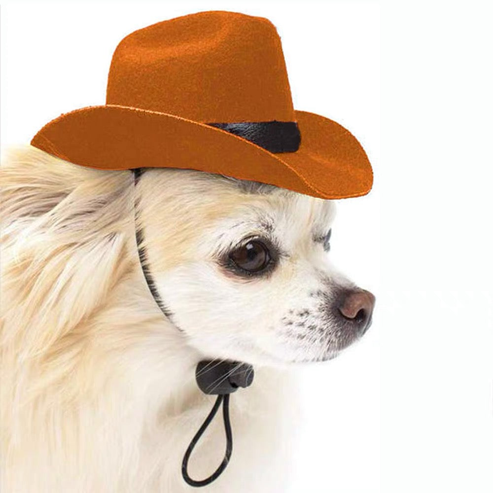 Cowboy Dog Cat Hat