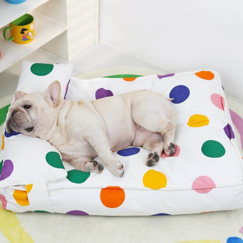 Colorful Dot Cozy And Playful Pillow Bed Calming Dog Bed