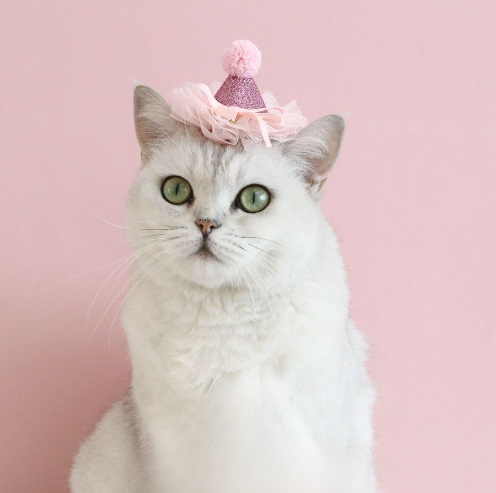 Pet Birthday Hat - Ultimate Party Gear for Pets