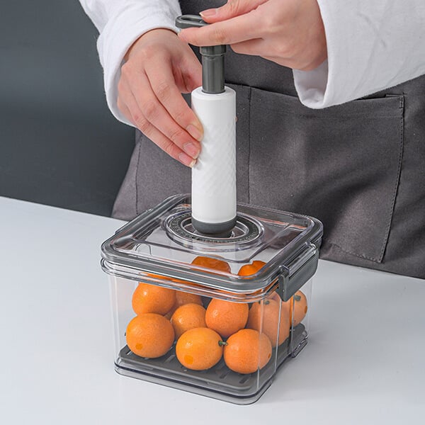 🔥Hot Sale🔥Home Vacuum Fresh Storage Box