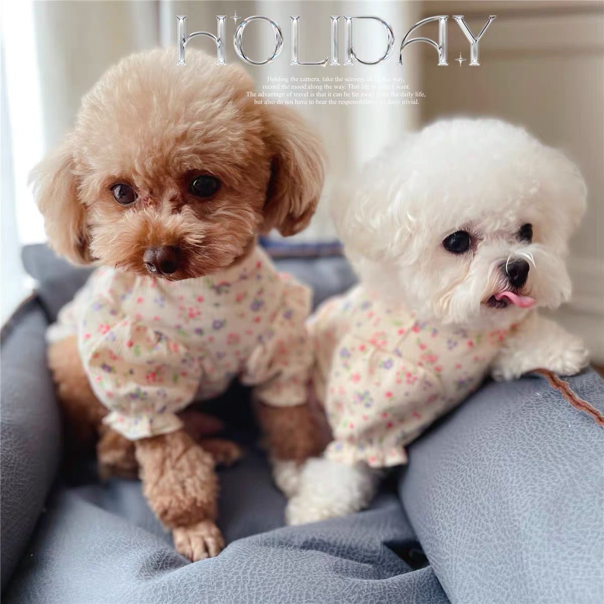 Puffy Sleeves Flower Dog Cat Clothes