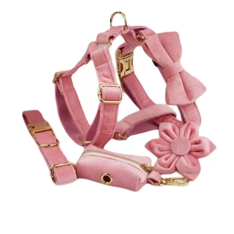 Velvet Personalized Dog Harness Collar Leash