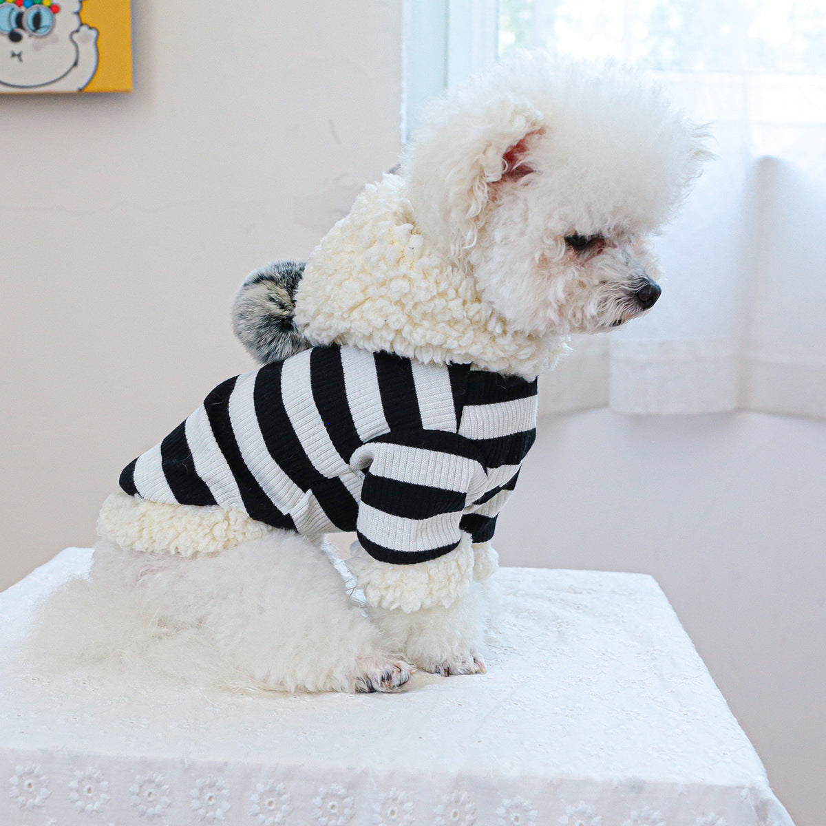 Striped Ball Design Dog Cat Hooded Hoodie