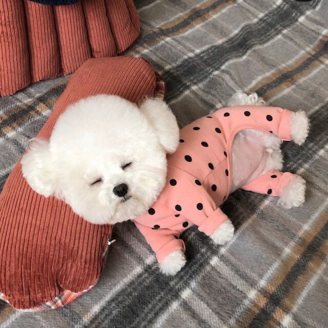 Polka Dot Dog Cat Four-legged Clothes