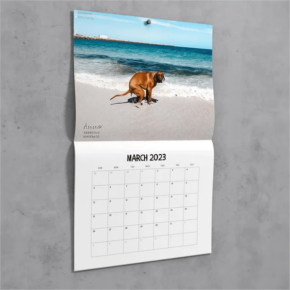 Funny Calendar Gift - Dog Poop Calendar