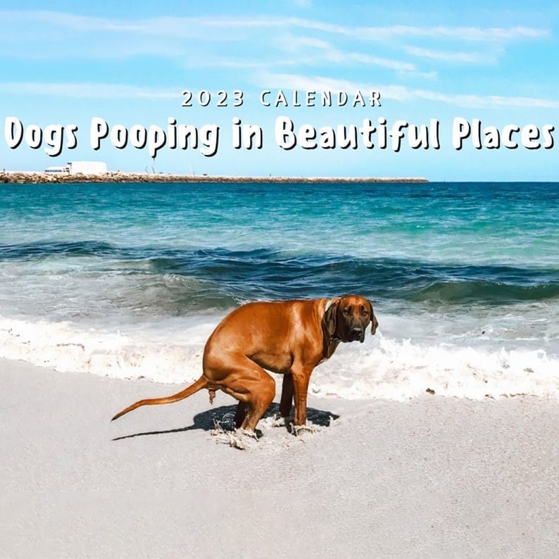 Funny Calendar Gift - Dog Poop Calendar