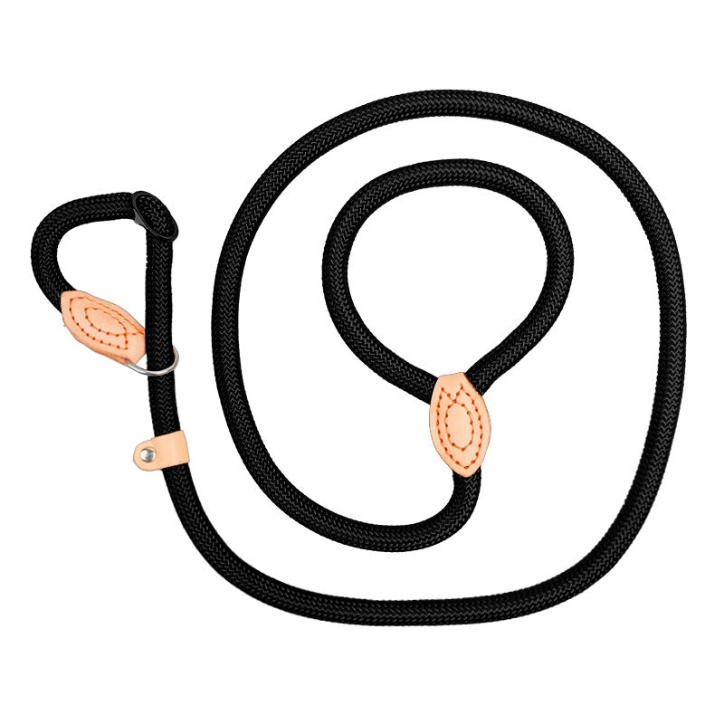 Minimalist Classic Style Nylon Solid Color Leash