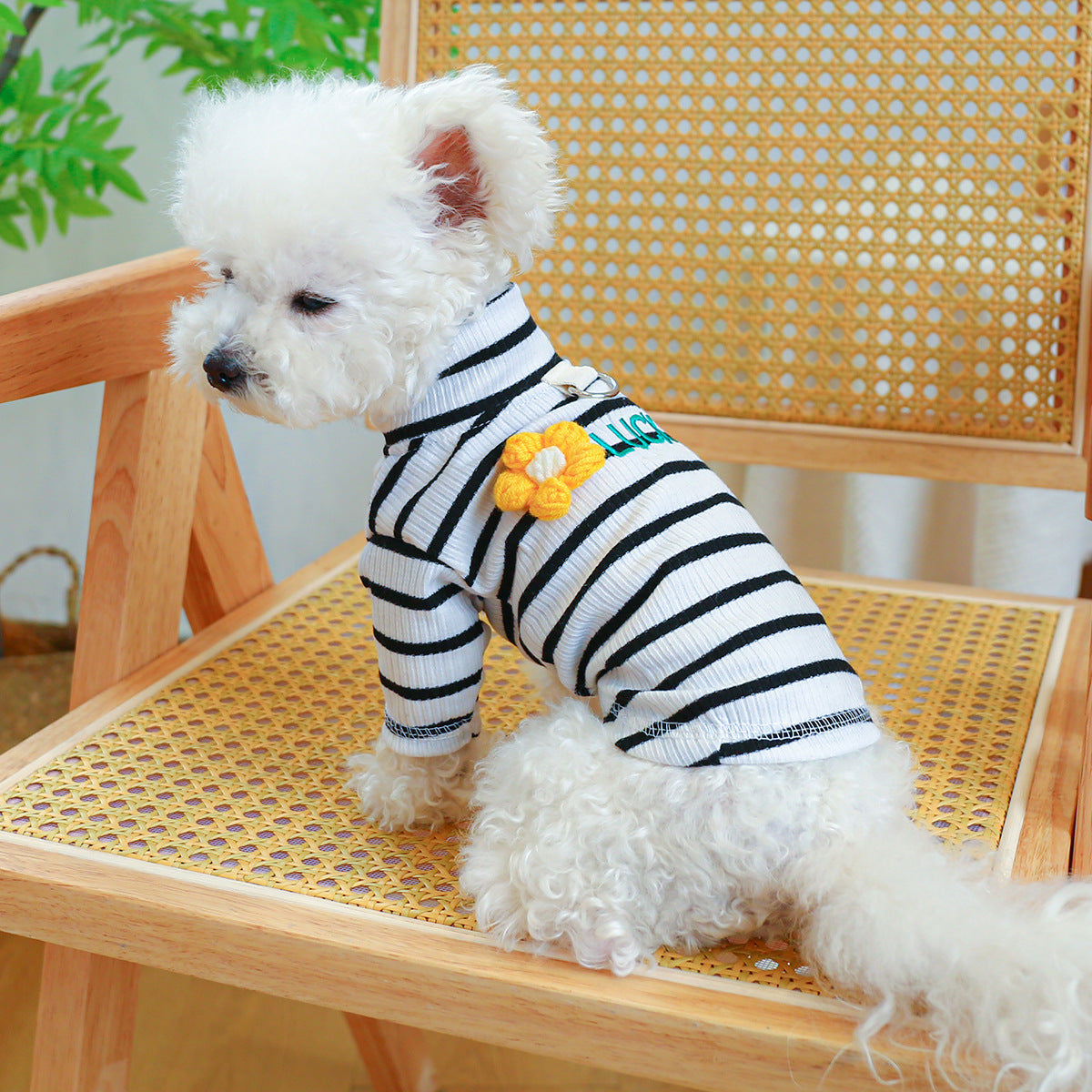 Lucky Flower Striped Dog Cat Tee Harness