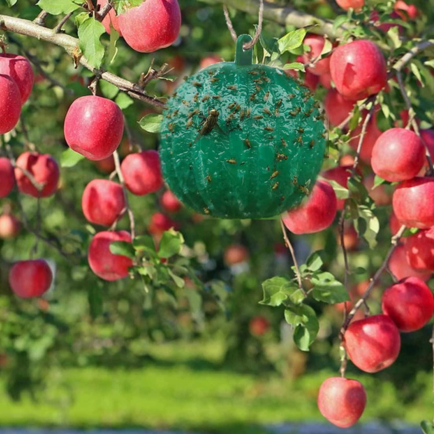 🎁Buy 1 Get 1 Free (2Pcs)🎁 Hanging Environmental Fruit Fly Traps Sticky Traps