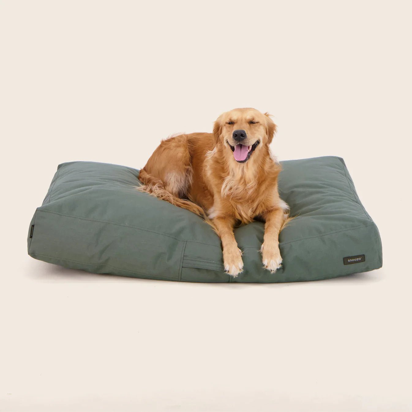 Modern D1000 Outdoor Dog Bed - Eucalyptus