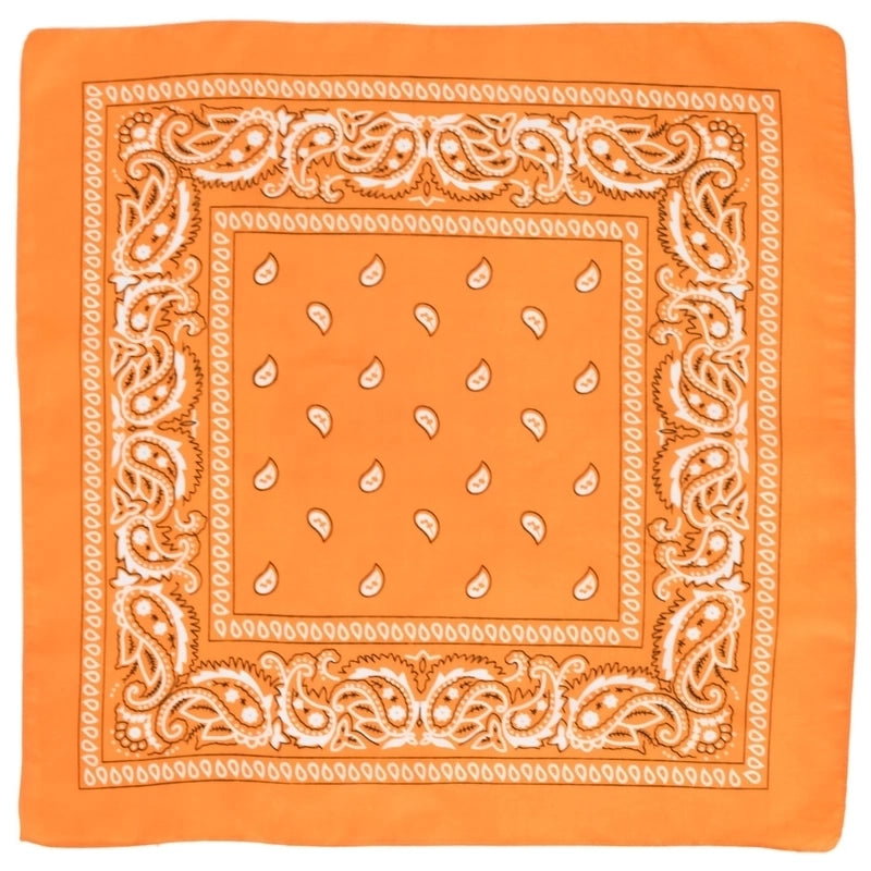 Unisex Hip-hop Paisley