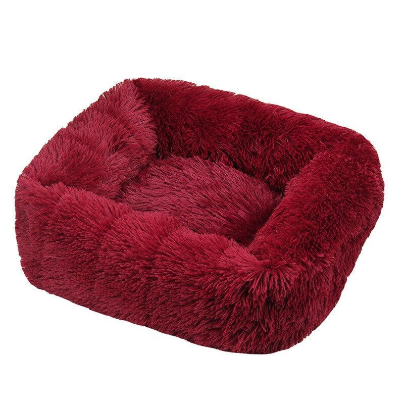 Cats Cushion Portable