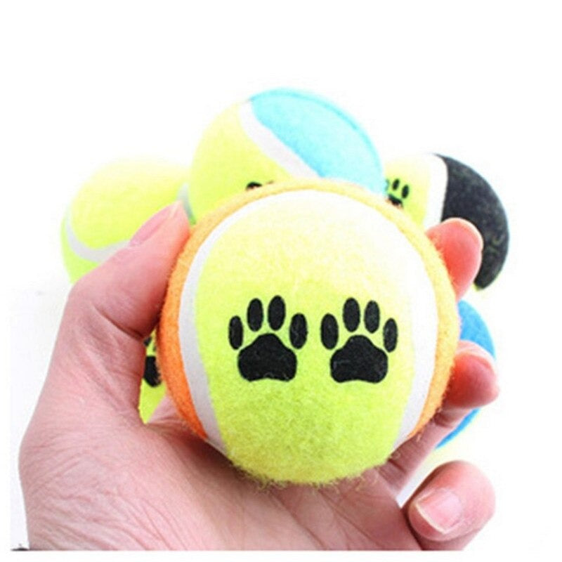 Tennis Balls Run Fetch Toys