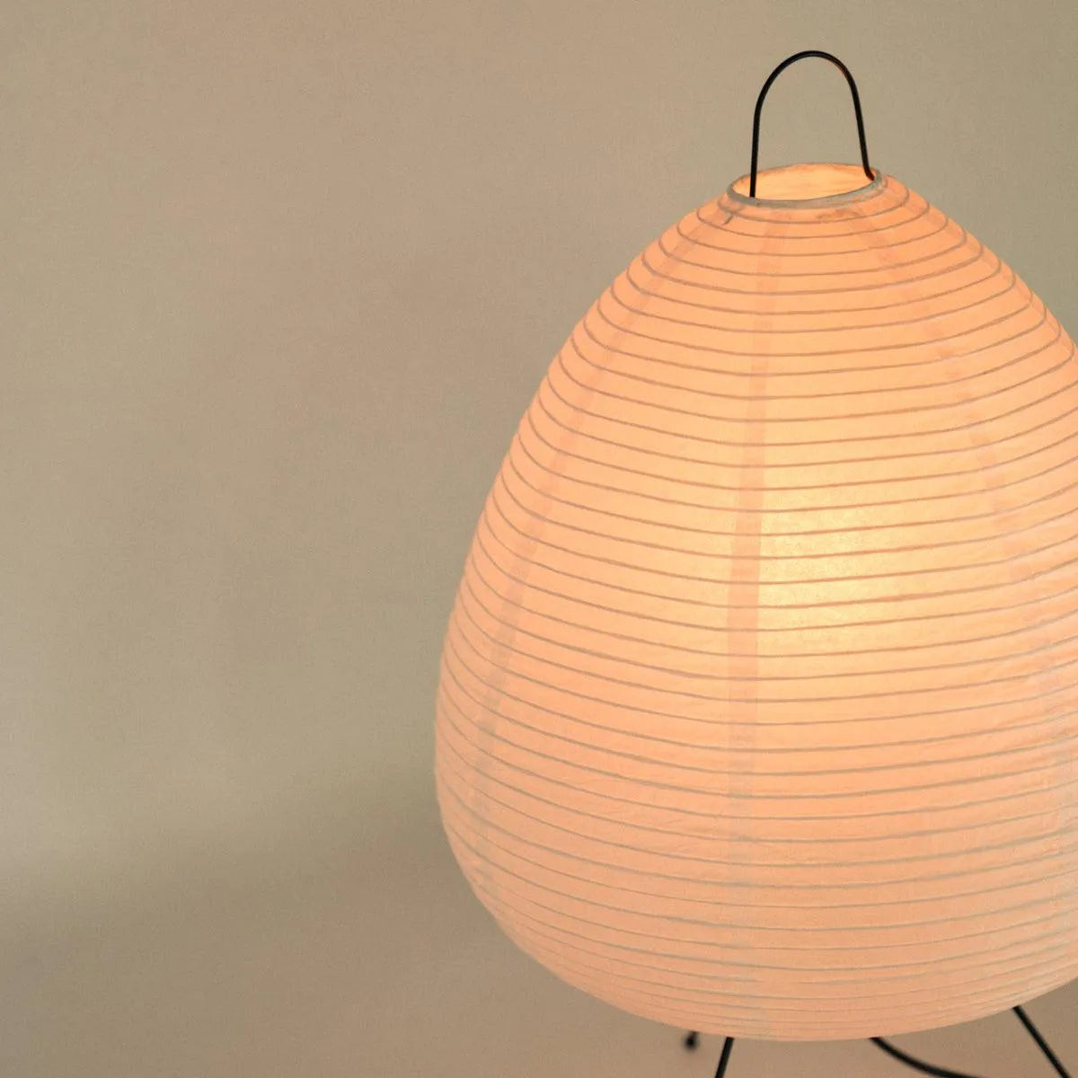 Absolutely Necessary Lamp