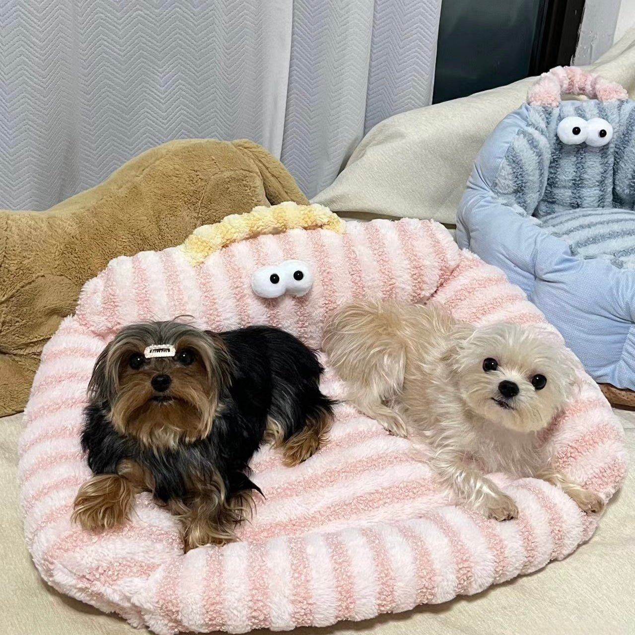 Big Eye Striped Dog Cat Bed