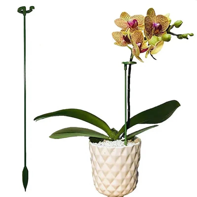 🔥 BIG SALE - 49% OFF Plant Support Stake