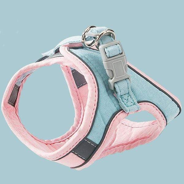 ⚡⚡  Promotion 48% OFF - Luminous Cat Vest Harness and Leash Set(⚡⚡BUY 3 FREE SHIPPING)