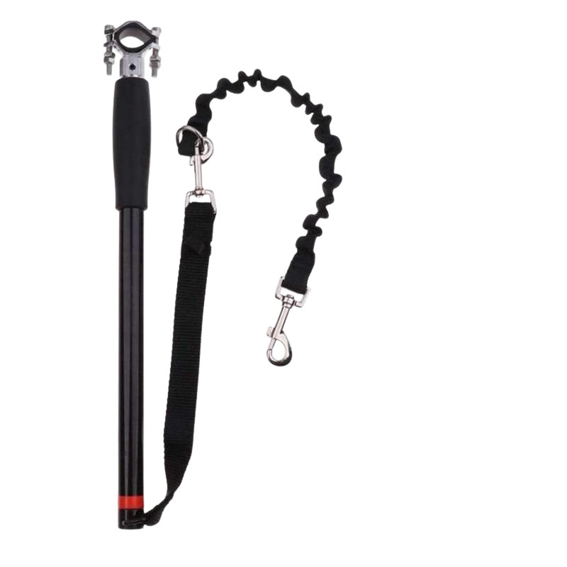 Retractable Walk Dog Leash