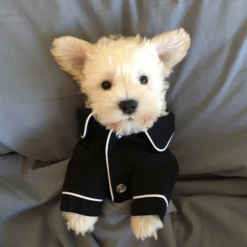 The Silk Button PJ