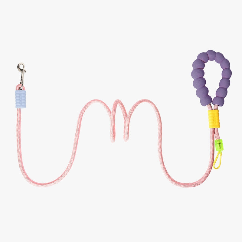 Minimalist Nylon Color Block Leash