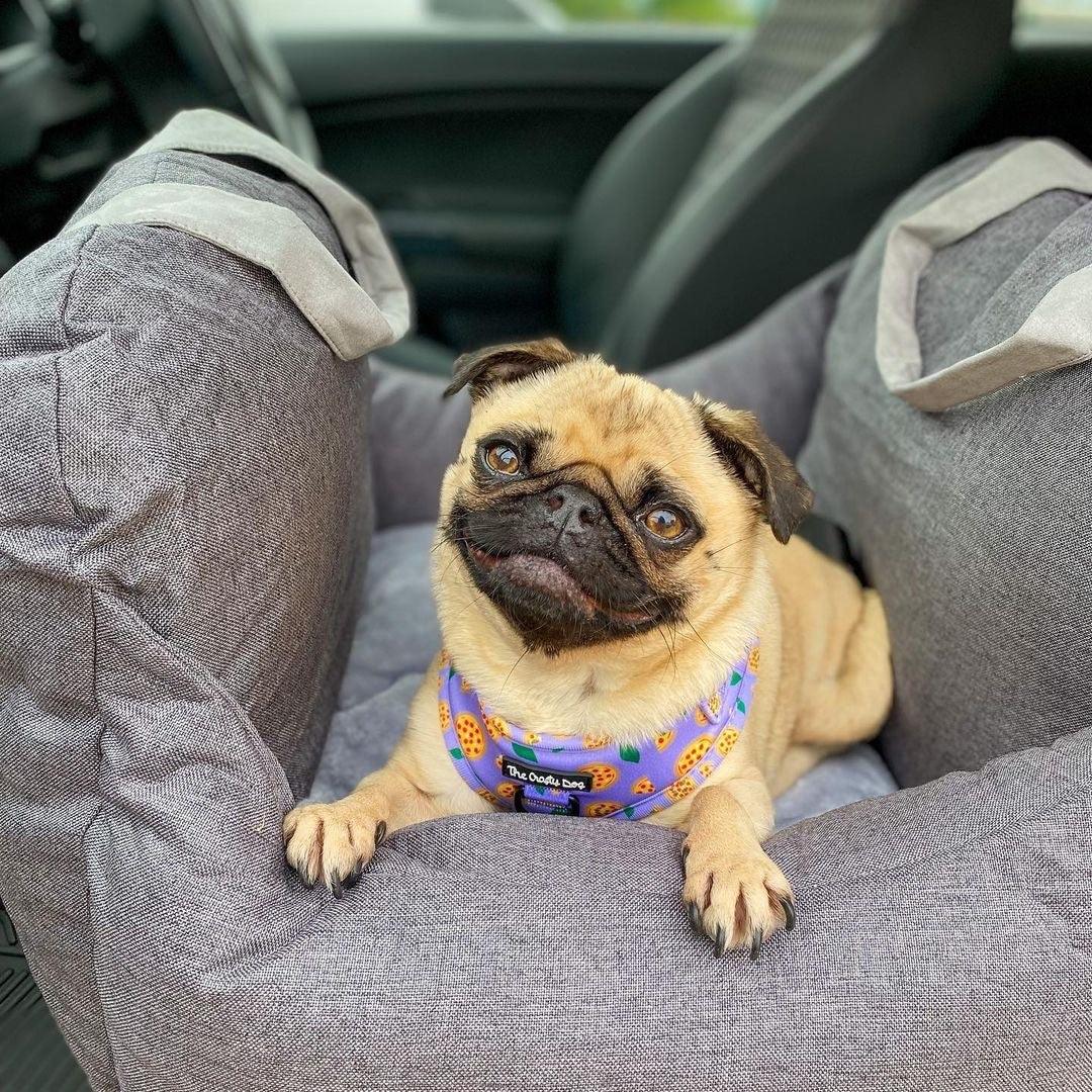 JetPaws Portable Dog Bed