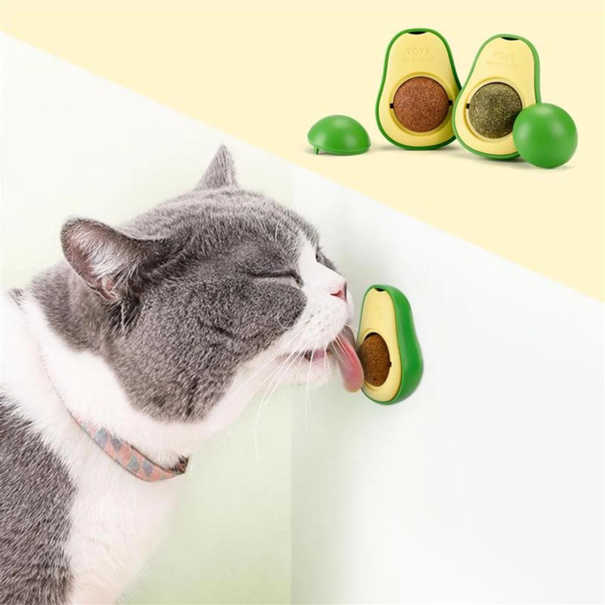 Avocat catnip para gatos