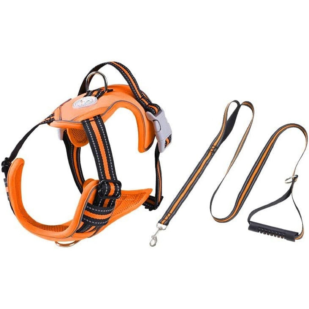 Dog Harness Vests with Lead