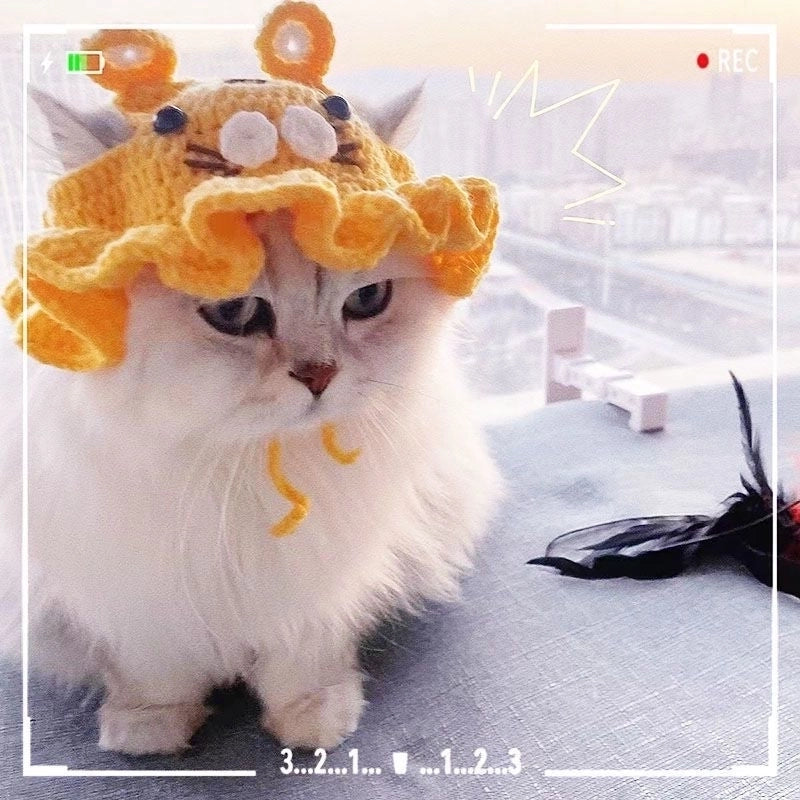 Cute Acrylic Cartoon Pet Hat