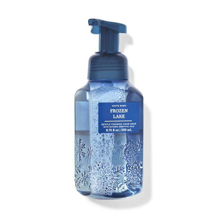 Bath &  Body Works Frozen Lake Gentle Foaming Hand Soap 259ml