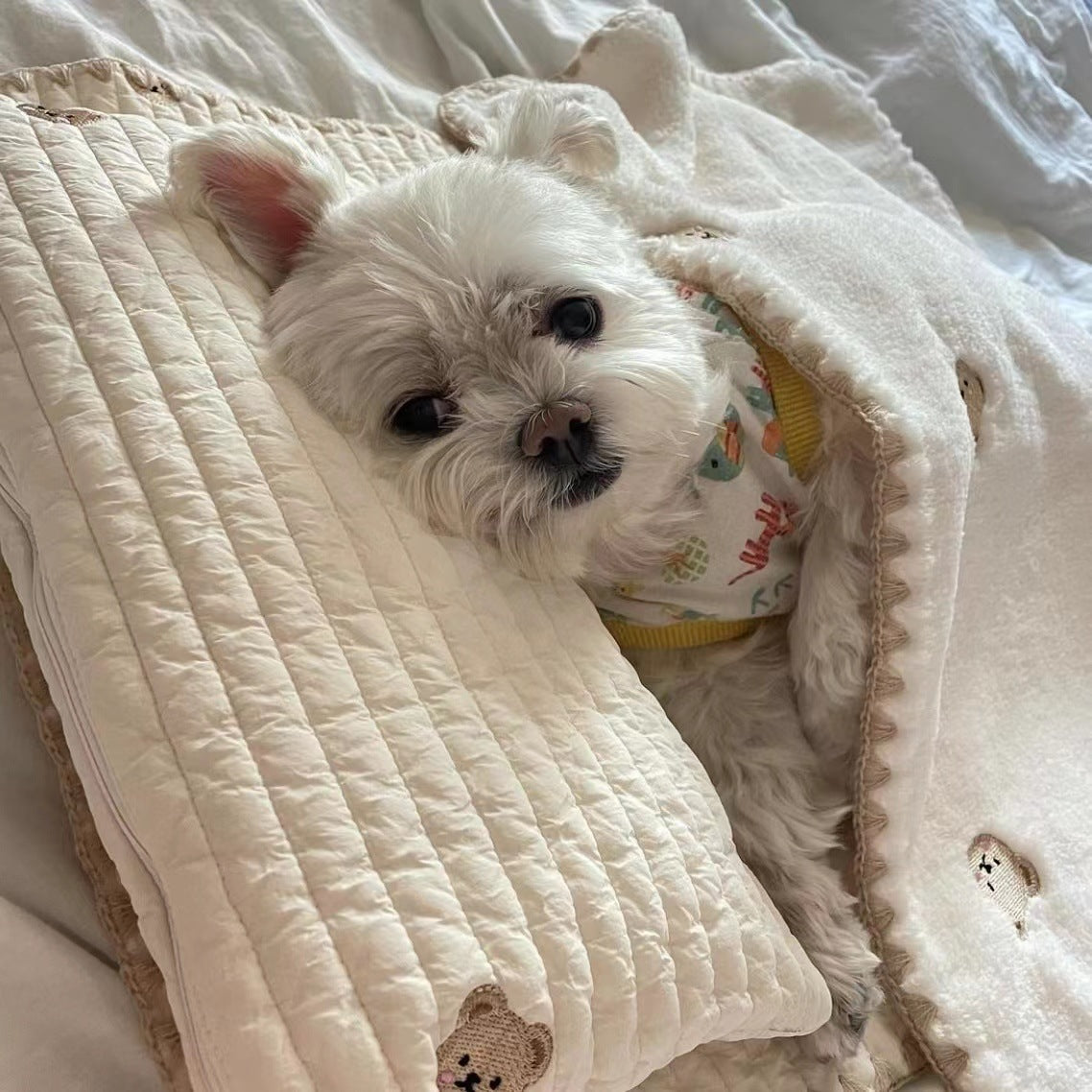 Bear Printed Dog Mat Quilt Pillow 3pcs Set