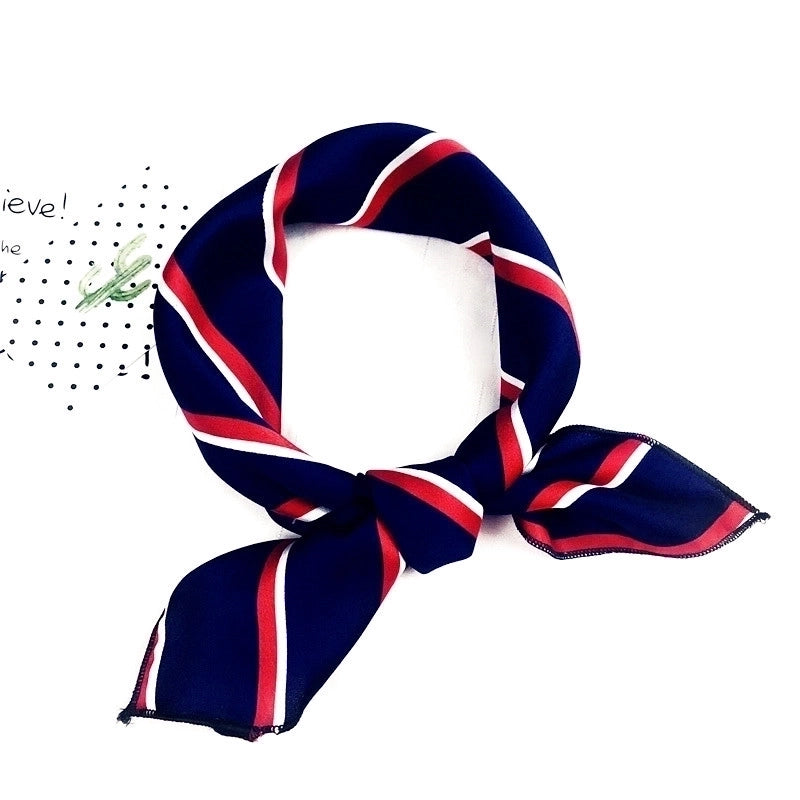 Scarf (dog Powder)