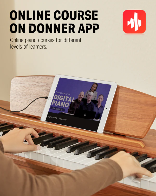 ✨Donner DDP-80 Wooden Style with Stand & Triple Pedals