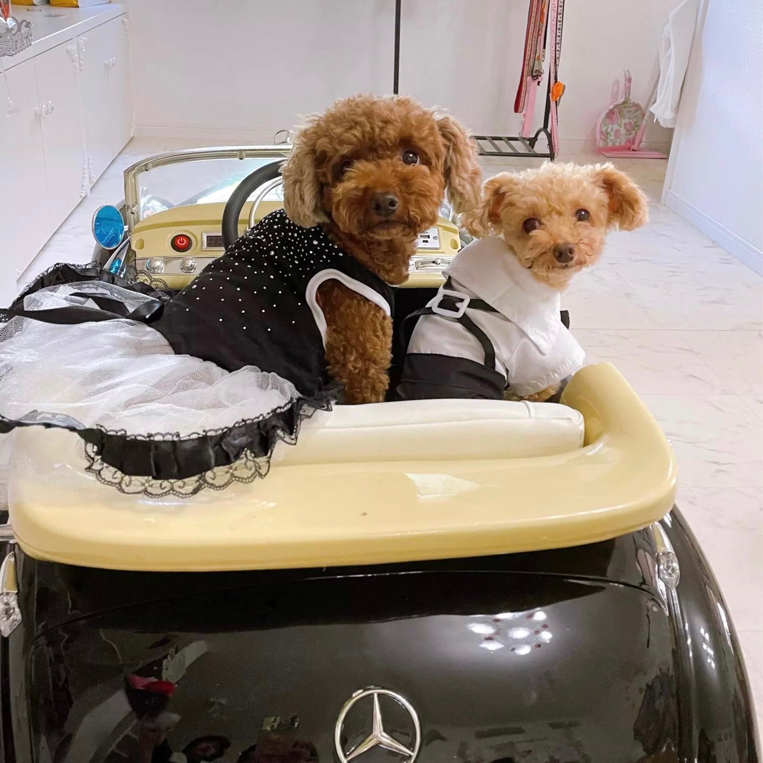 Lace Bowknot Design Puppy Dress