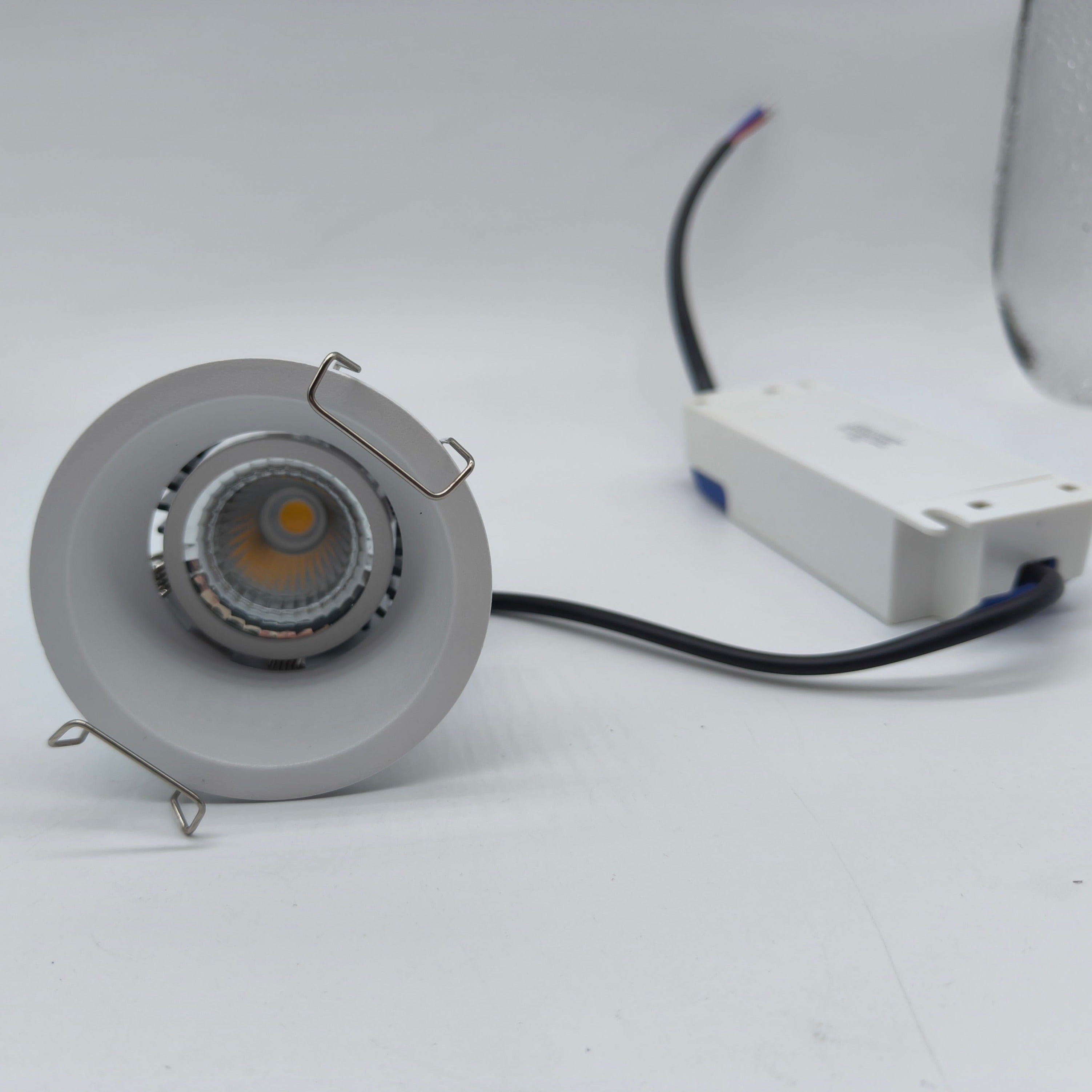 Trimless Downlight