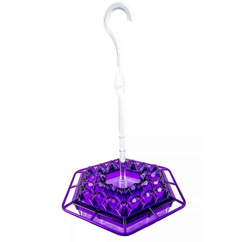 🎉   Promotion-49% OFF 🎉 Sweety Hummingbird Feeder