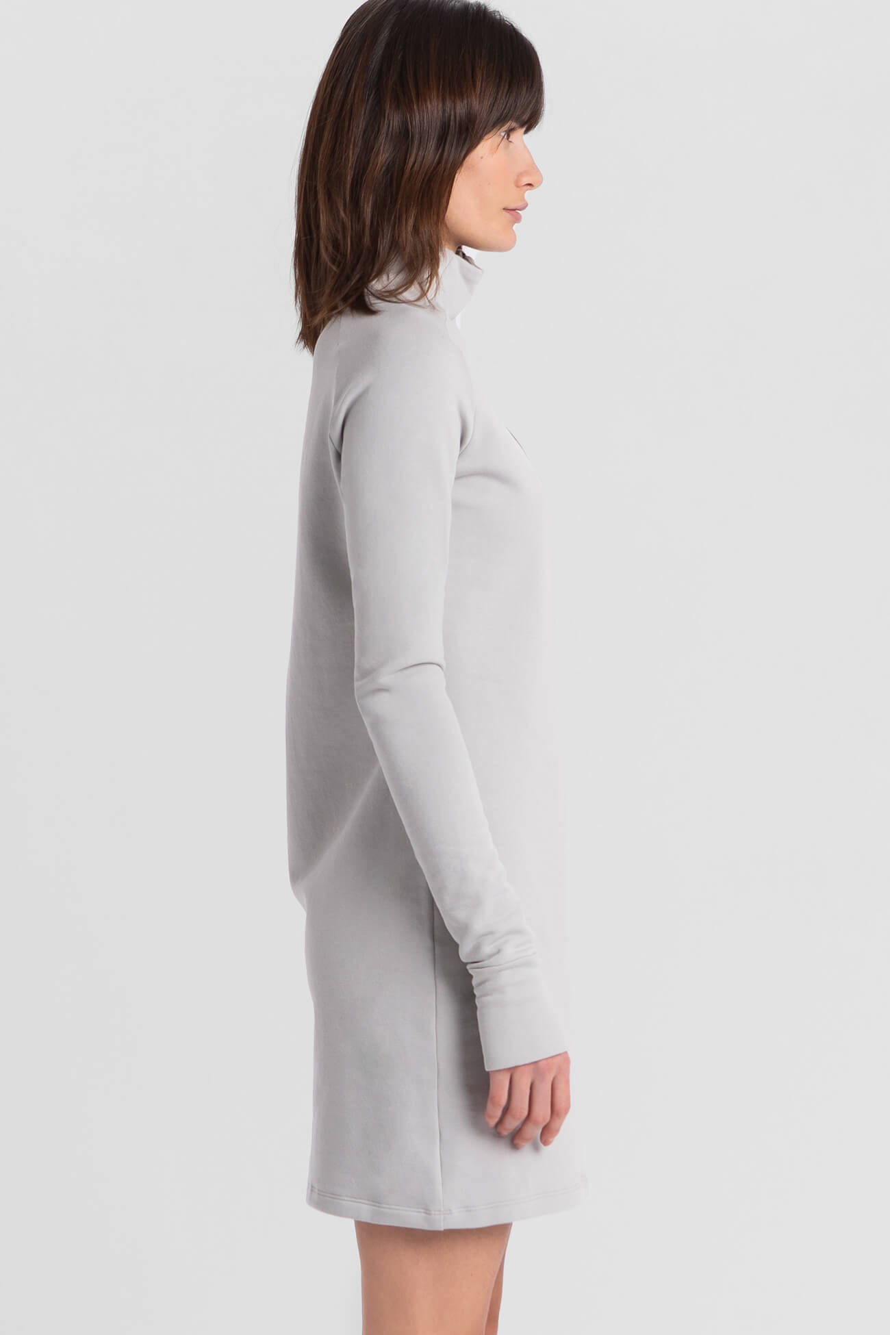 Alani Sweatshirt Dress