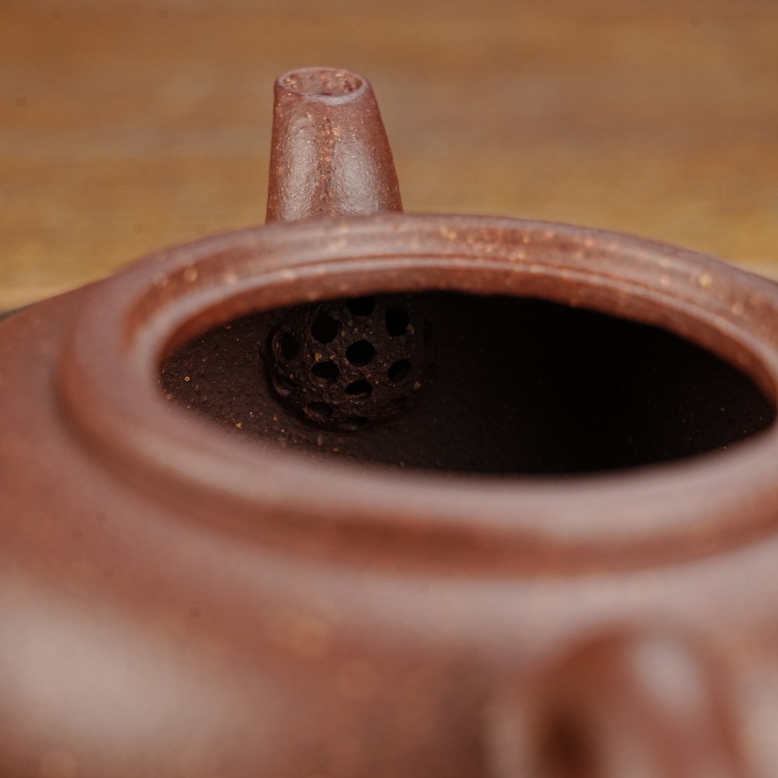 20250727-66-扁樱（高溫电）