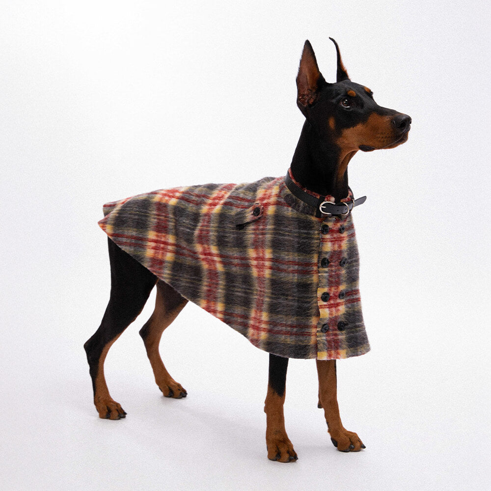 Vintage Plaid Wool With Refined Leather Collar & Button Dog Cape