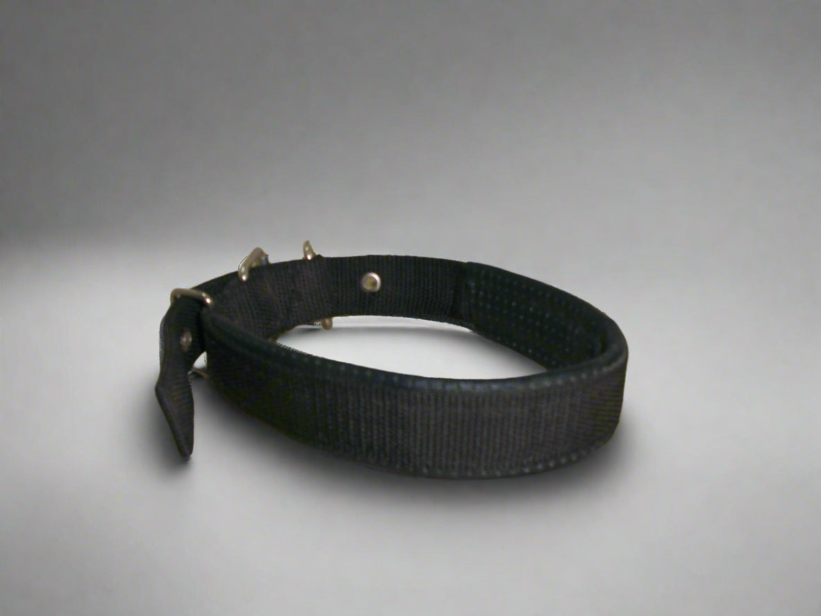 Leather - Embeded Dog collar